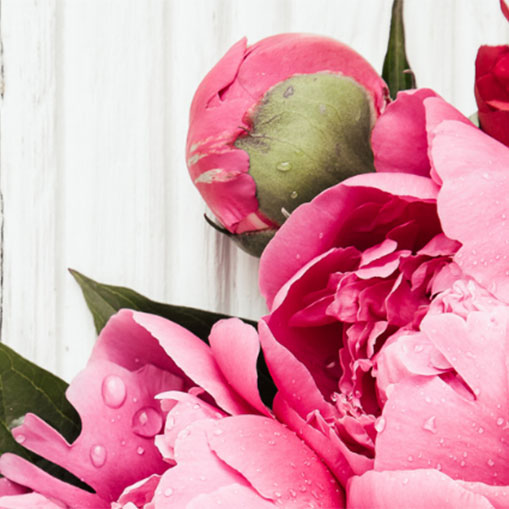 Mother's Day
