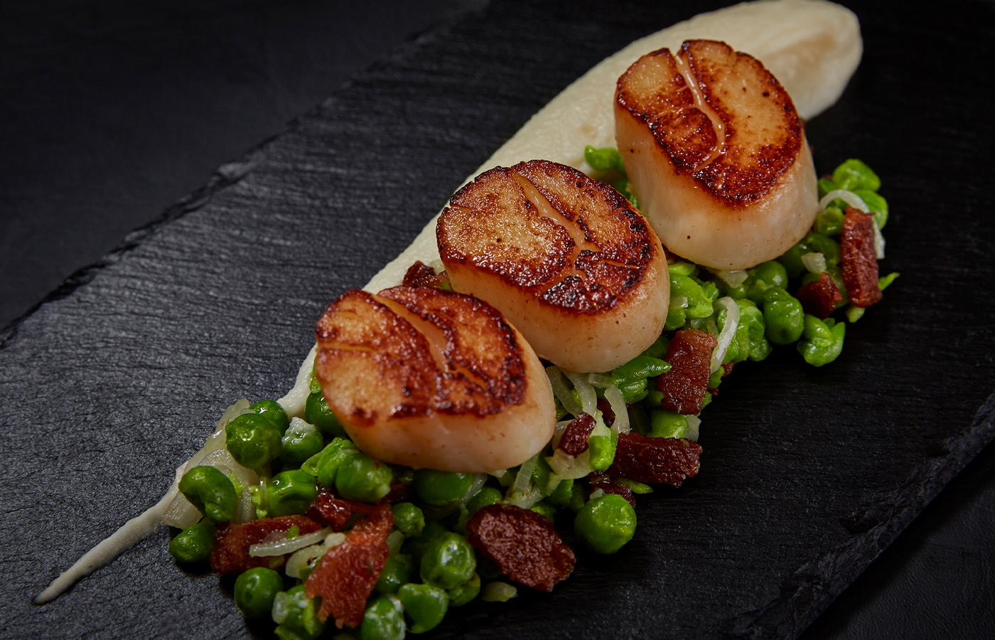 Scallops